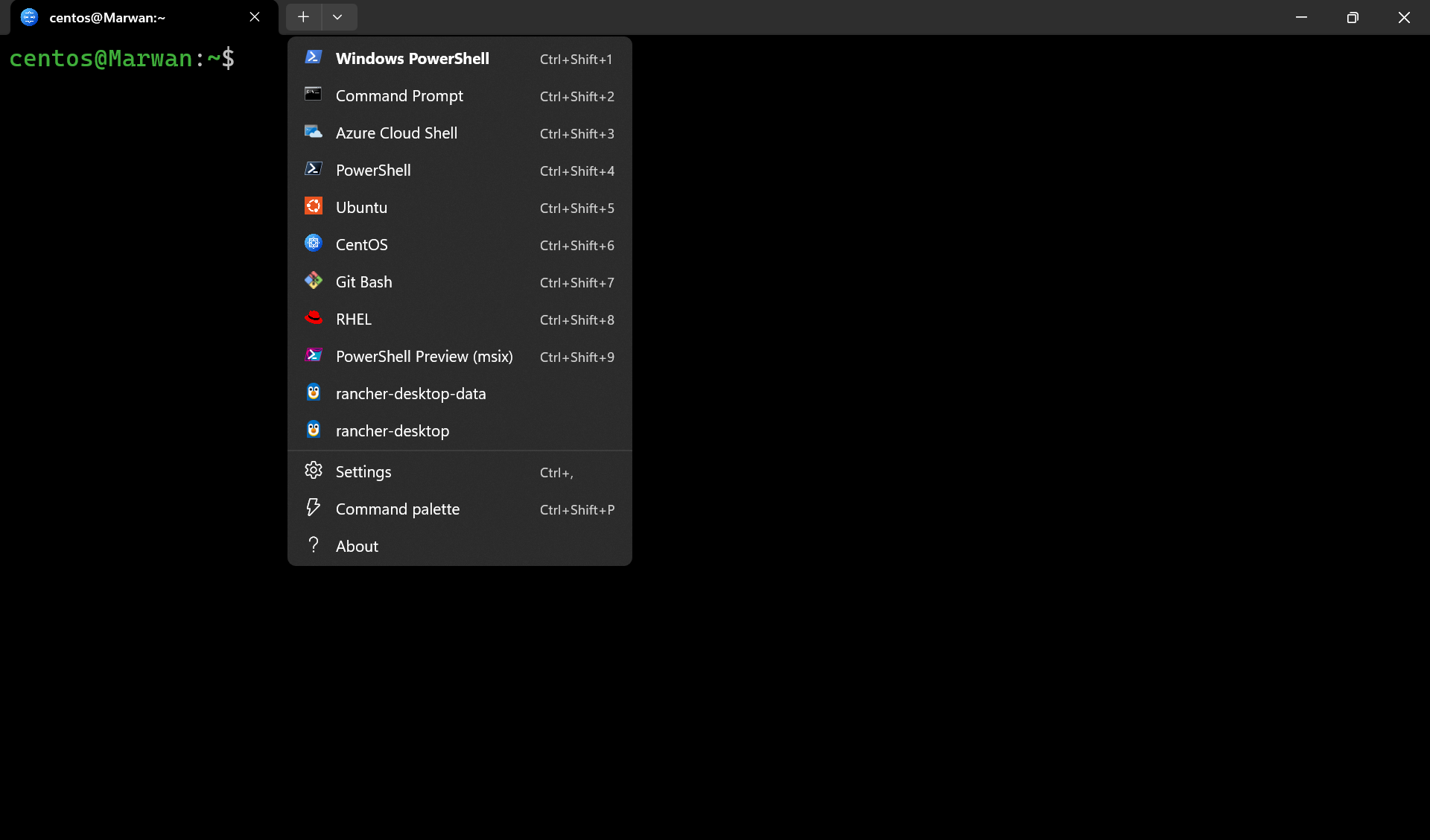 Windows Terminal profile menu listing shells and WSL distros like Ubuntu and CentOS