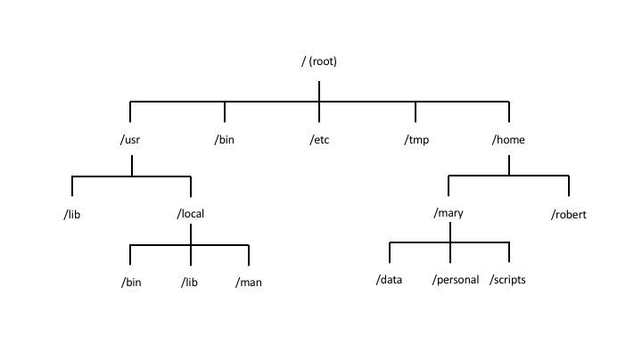 Tree diagram of Linux filesystem hierarchy branching from root into subdirectories