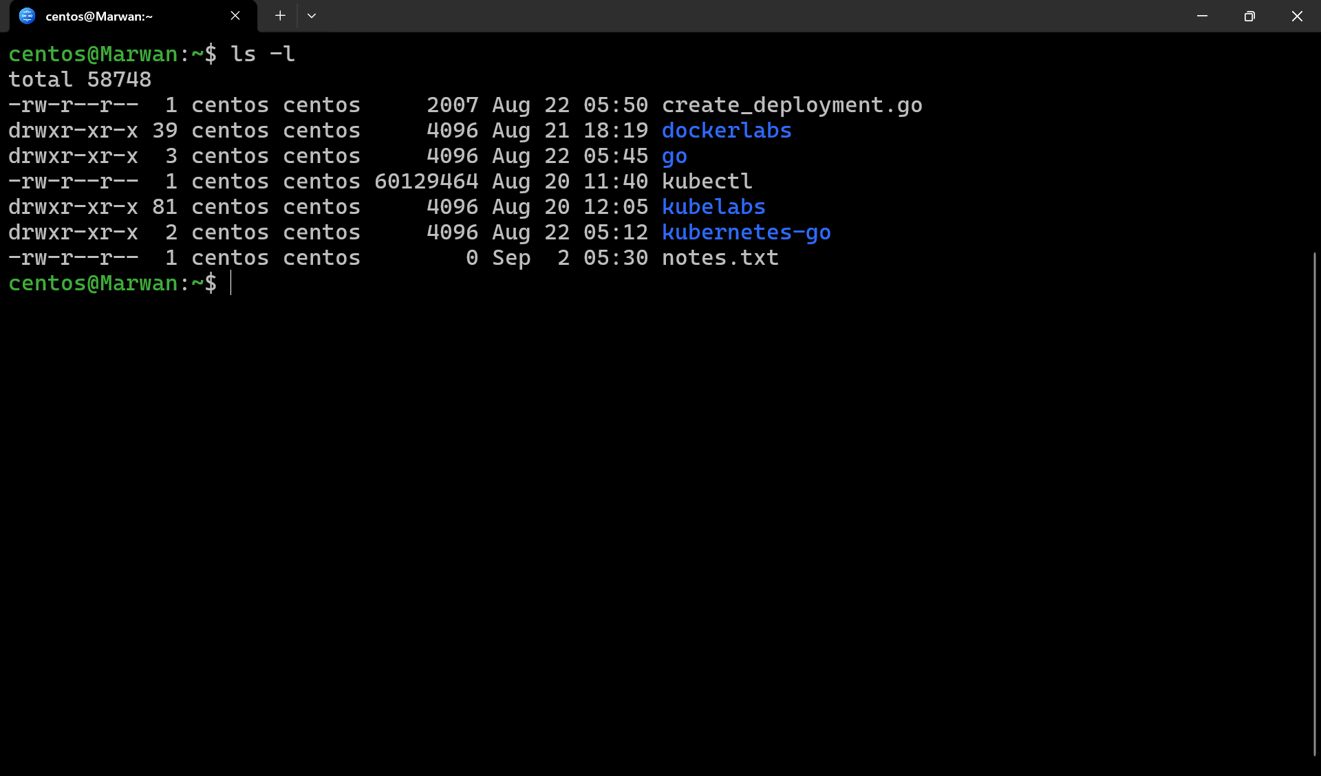 Terminal output of ls -l showing file permissions, owners, and groups for files including notes.txt