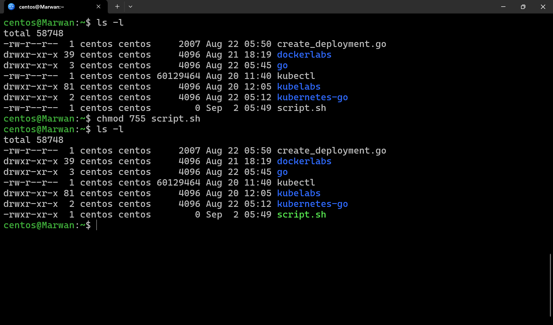 Terminal showing chmod 755 on script.sh, with ls -l listing rwxr-xr-x permissions in green
