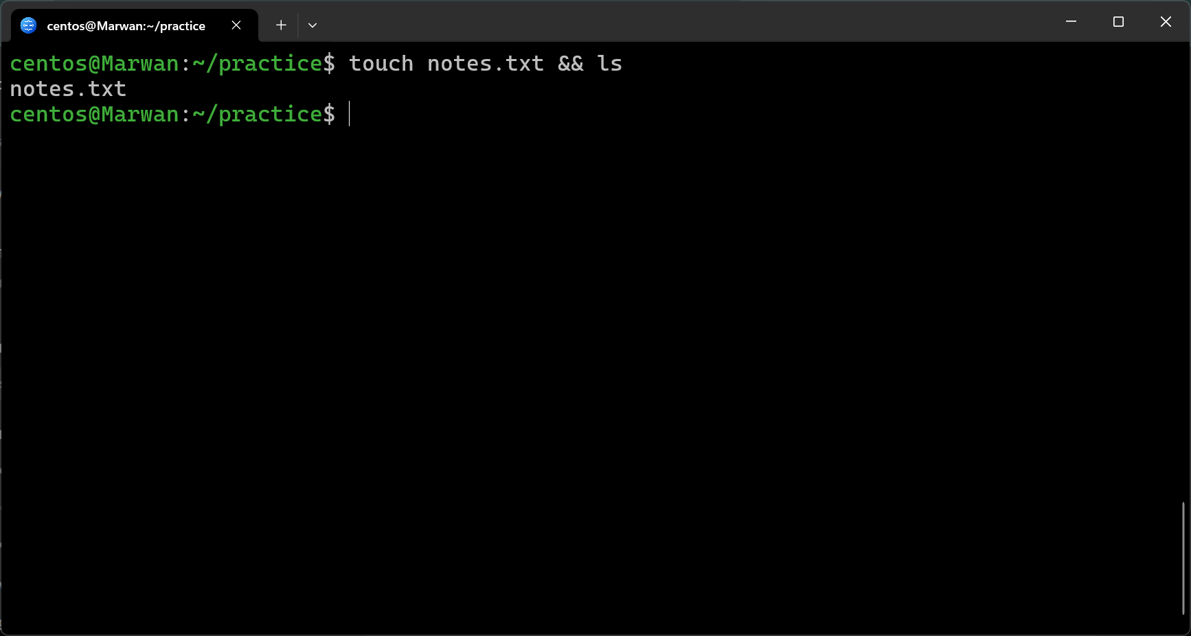 Terminal showing touch notes.txt creating the file, confirmed by ls output