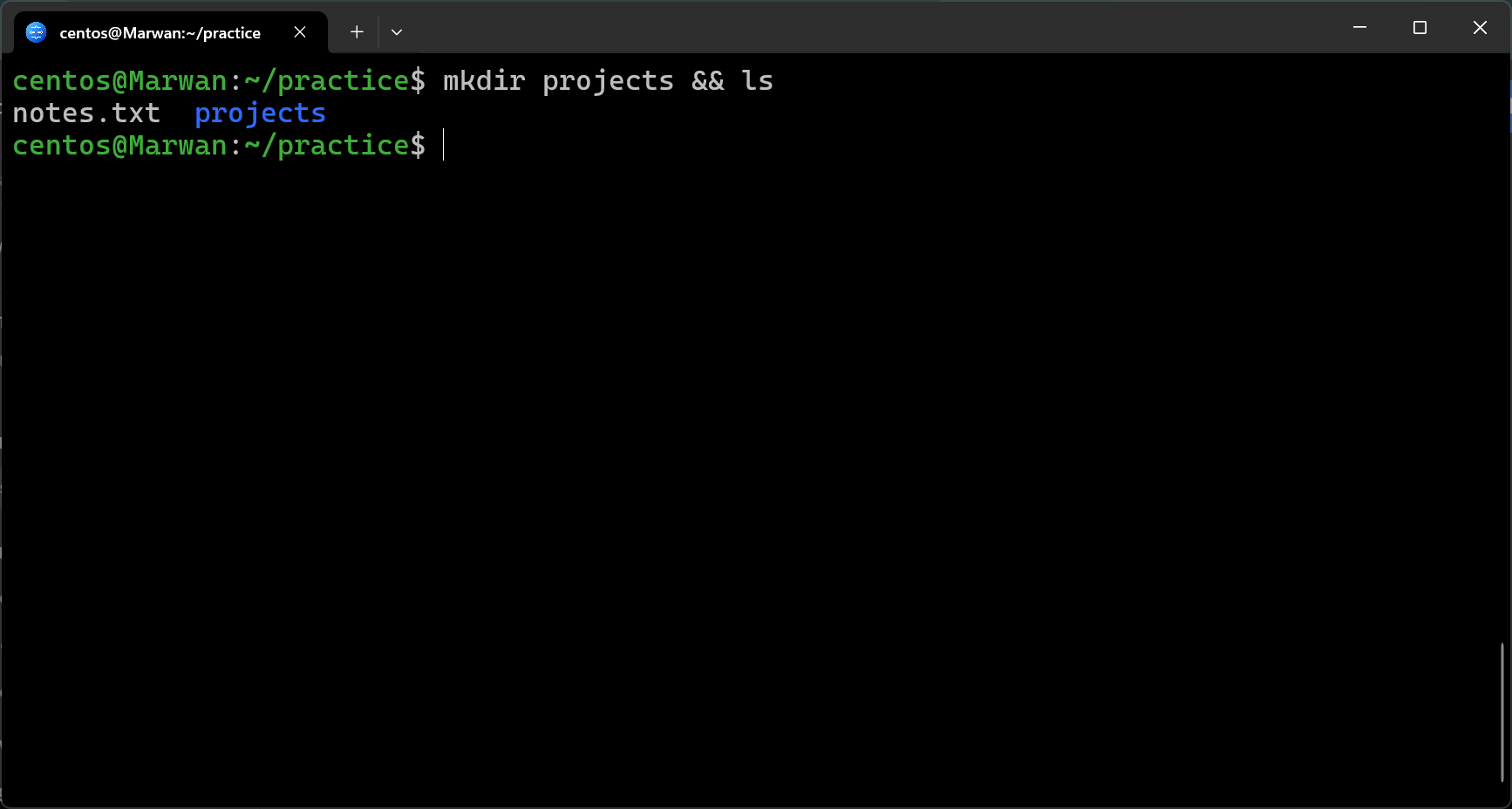 Terminal showing mkdir projects with ls listing notes.txt and blue projects folder