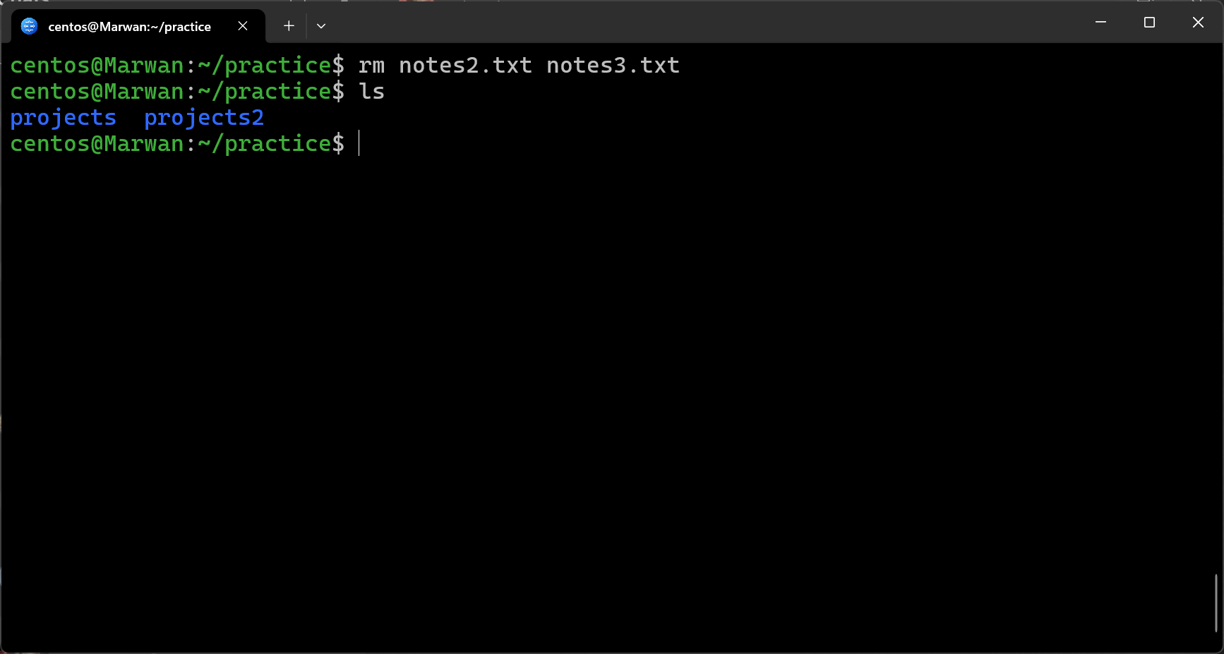 Terminal showing deletion of two files at once, leaving only directories