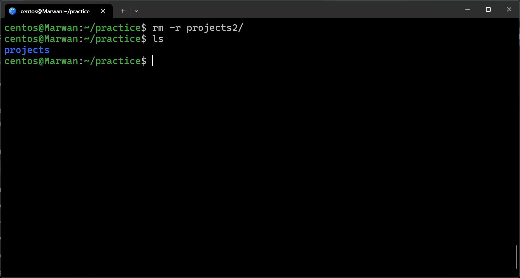 Terminal showing recursive deletion of projects2 directory confirmed by ls