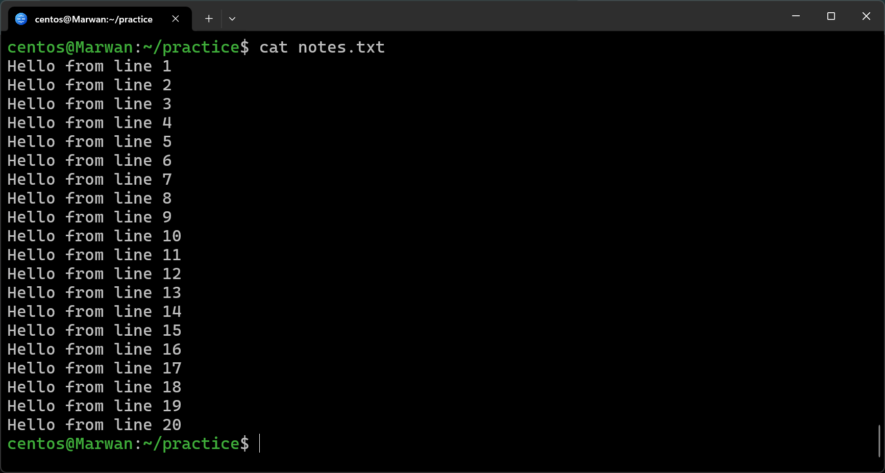 Terminal showing cat notes.txt displaying lines 1 through 20