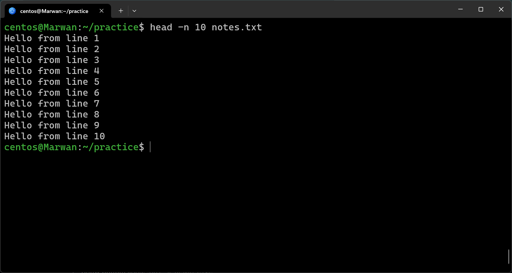 Terminal showing head command outputting first ten lines of notes.txt