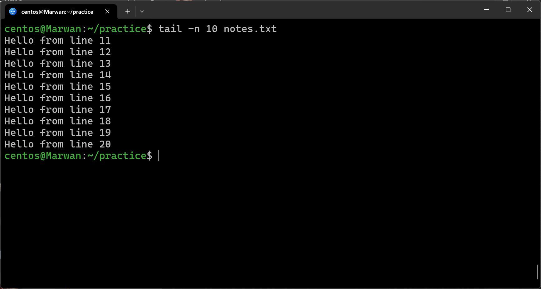 Terminal showing tail command outputting last ten lines of notes.txt