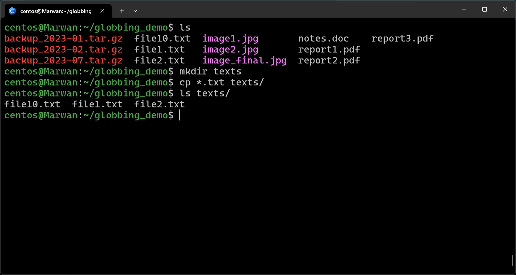 Terminal copying all .txt files into new texts folder and listing contents