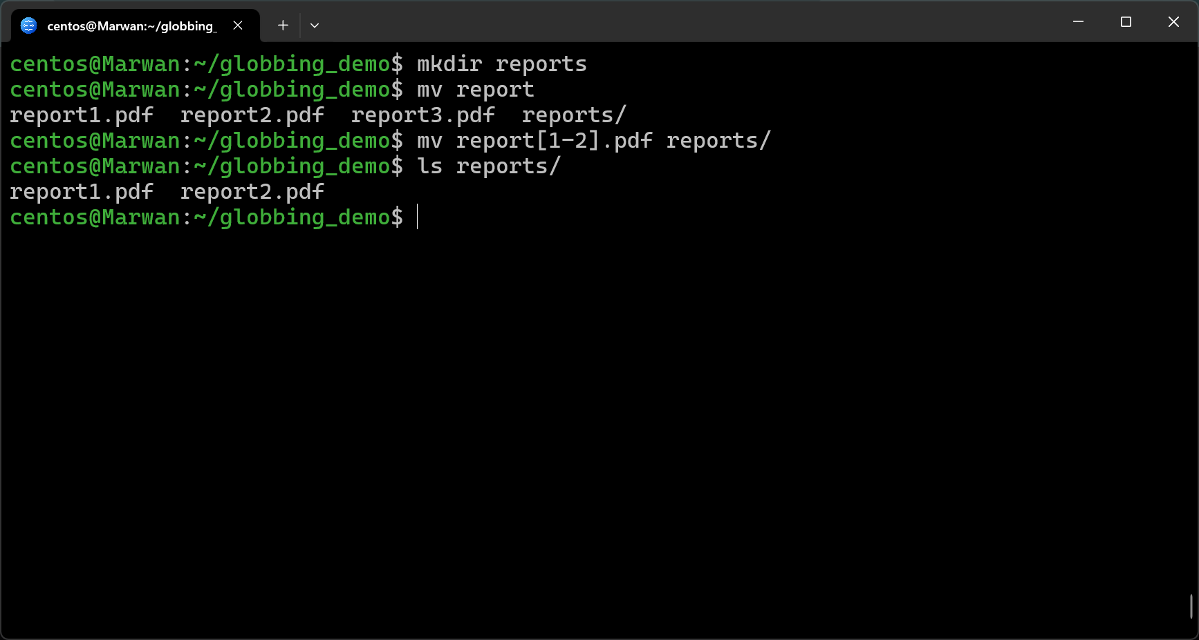 Terminal moving report1 and report2 PDFs into reports folder