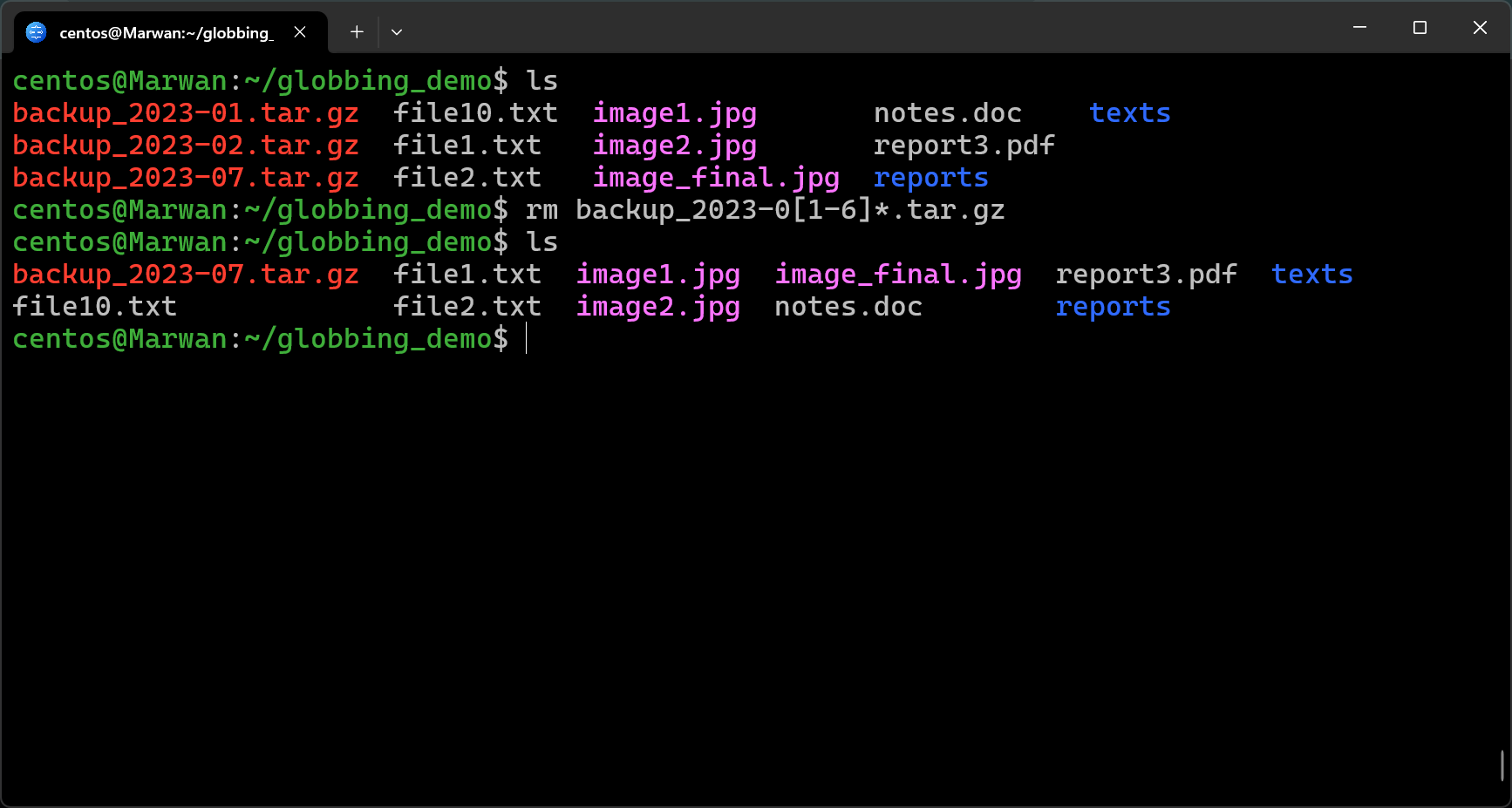 Terminal deleting January-June backups, leaving only July backup file