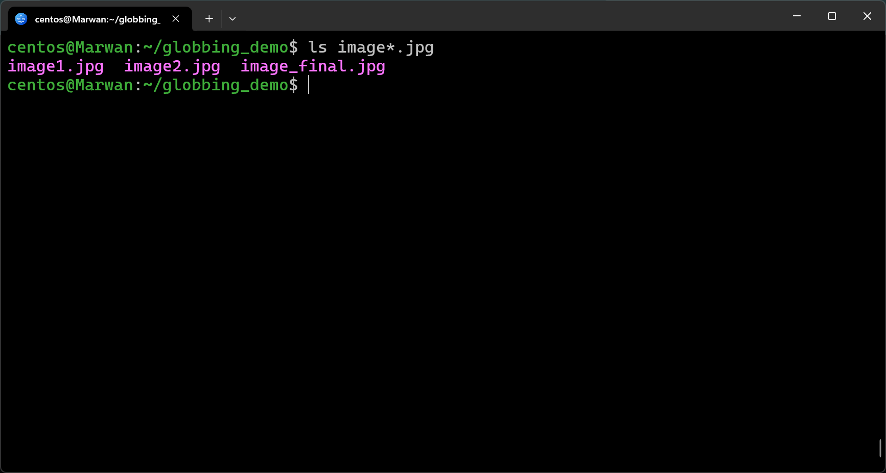 Terminal listing only image files starting with image using wildcard