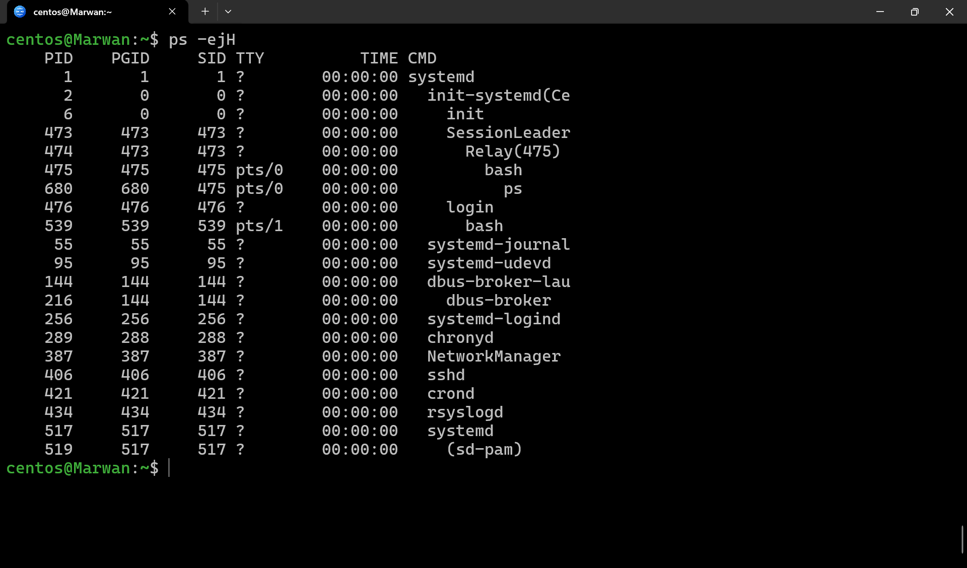 Terminal output of ps -ejH showing processes in hierarchy with PID, session, and command