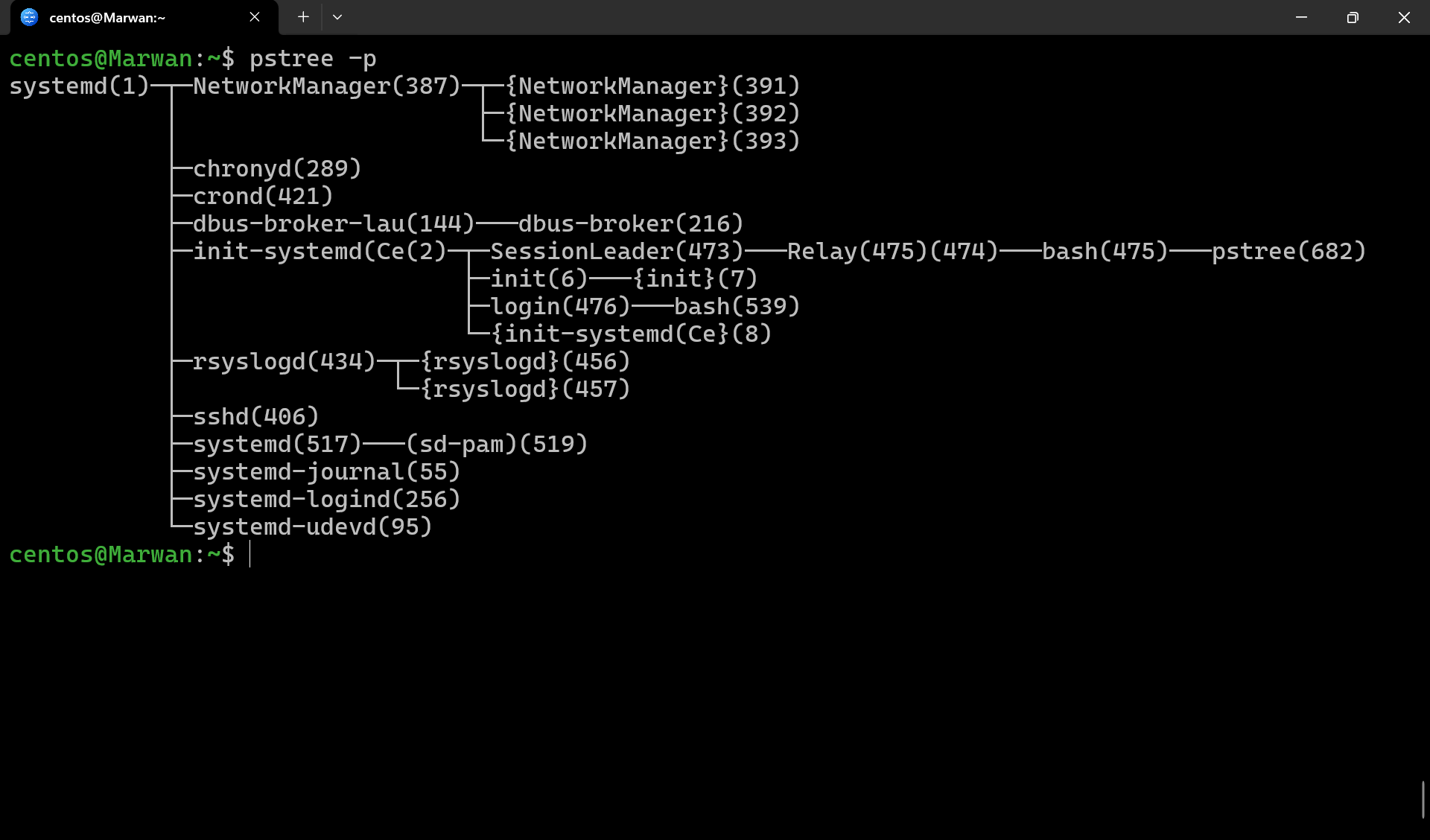 Terminal output of pstree -p showing the process tree rooted at systemd with PIDs
