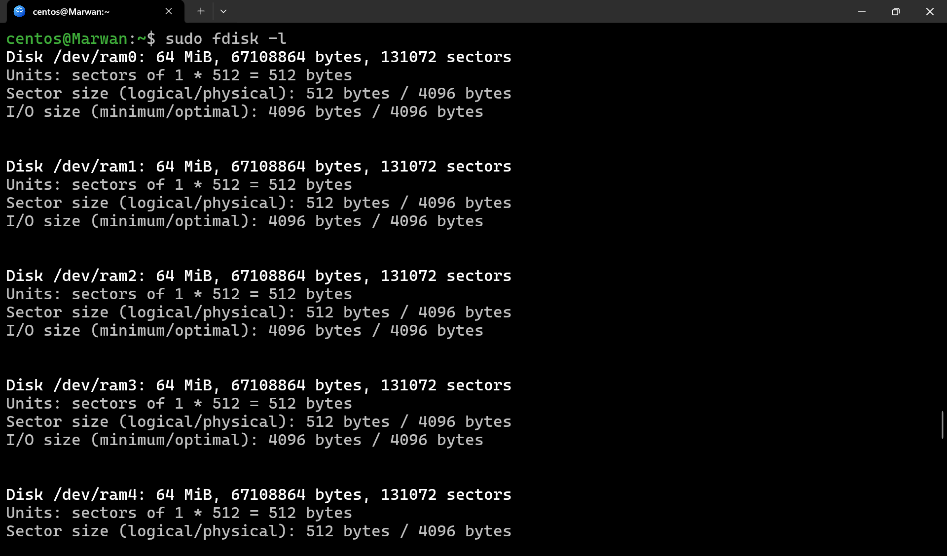 Terminal showing fdisk -l disk details for ram devices