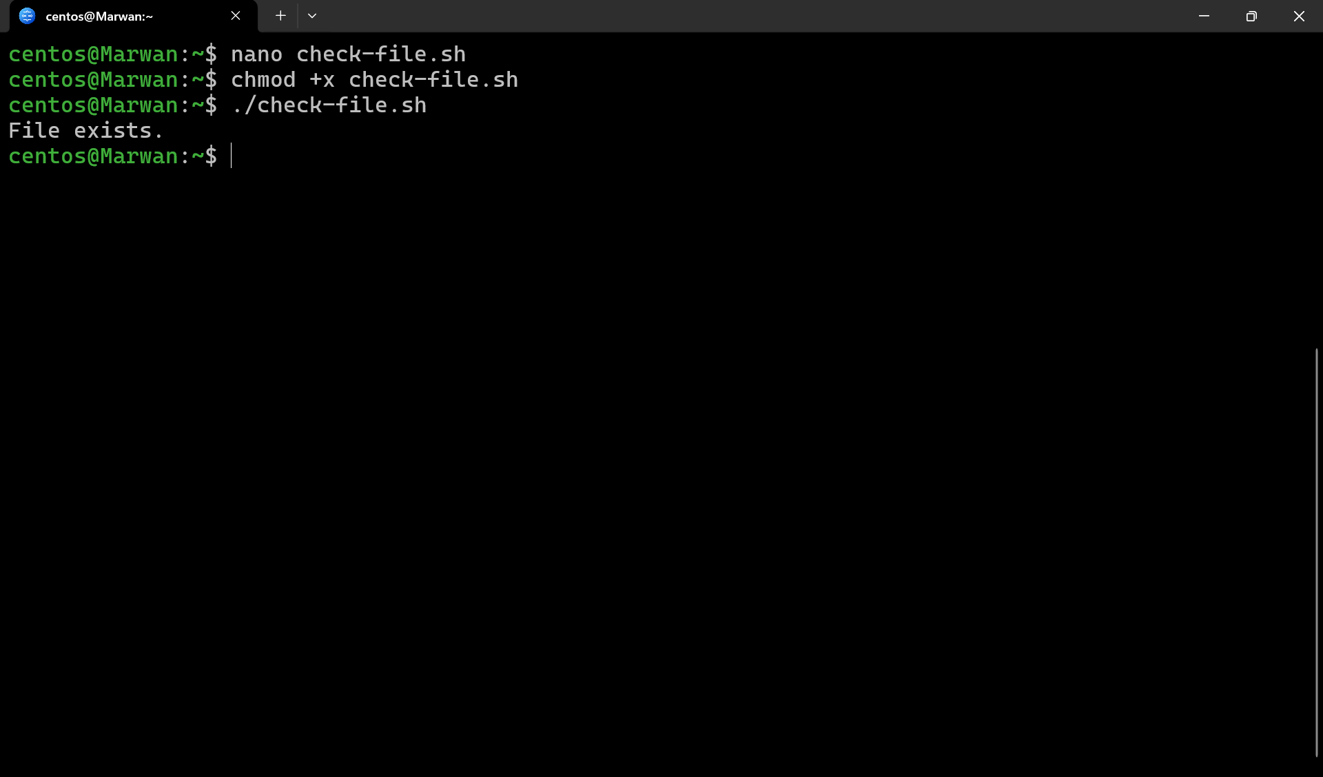 Terminal running file-check script and showing File exists result