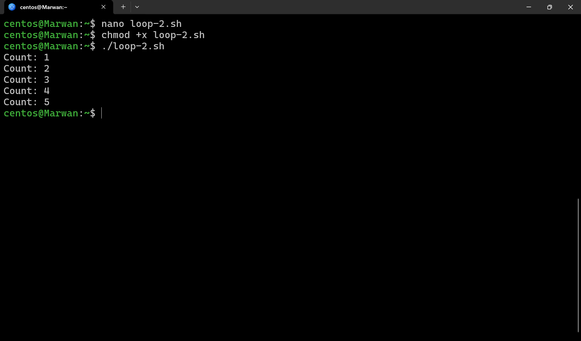 Terminal running while loop script and showing Count 1 to 5 output