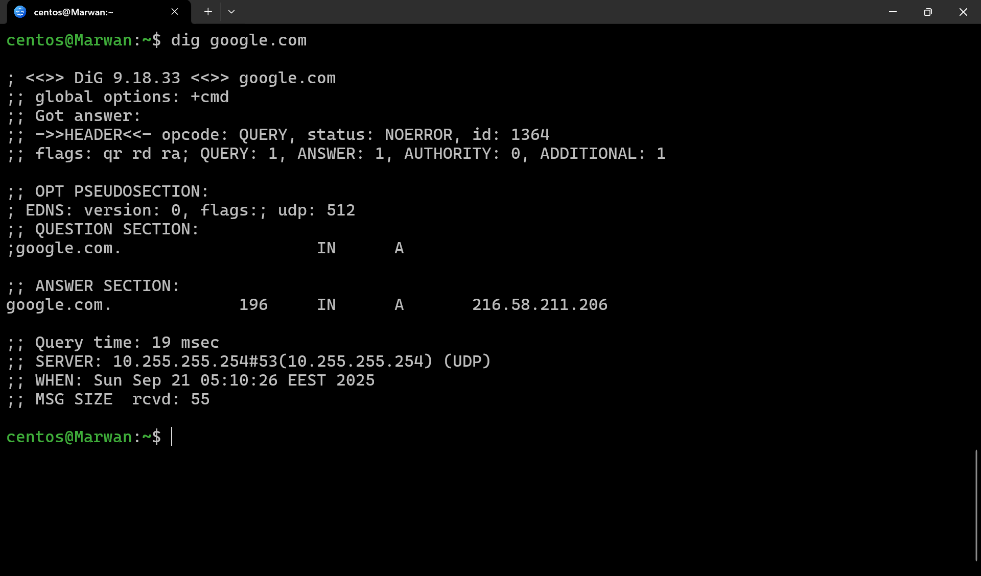 Terminal output of dig for google.com showing resolved IP address