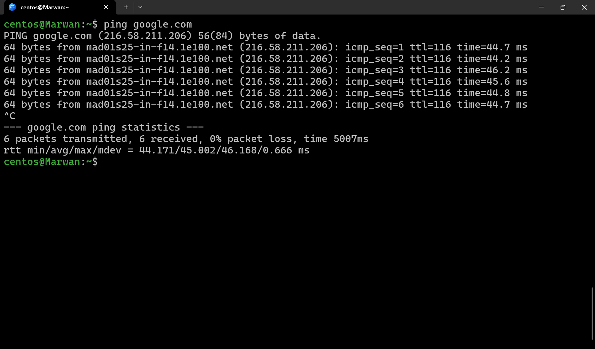 Terminal output of ping to google.com showing replies and statistics